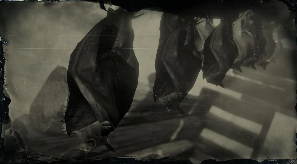 Little Brown Bat - RDR2 Animal Little Brown Bat - RDR2 Animal