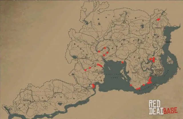 Neotropic Cormorant - Map Location in RDR2