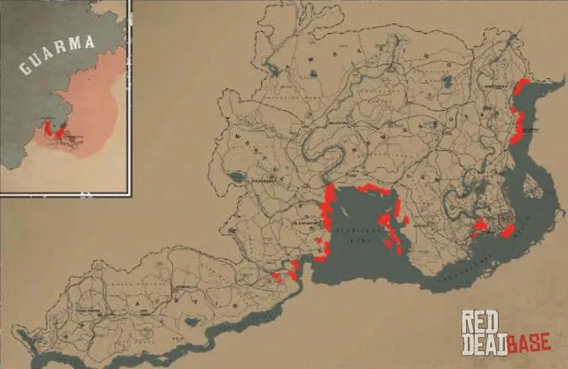 Laughing Gull - Map Location in RDR2