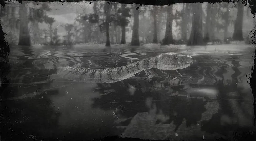 Midland Water Snake - RDR2 Animal