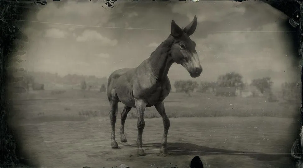 Mule - RDR2 Animal