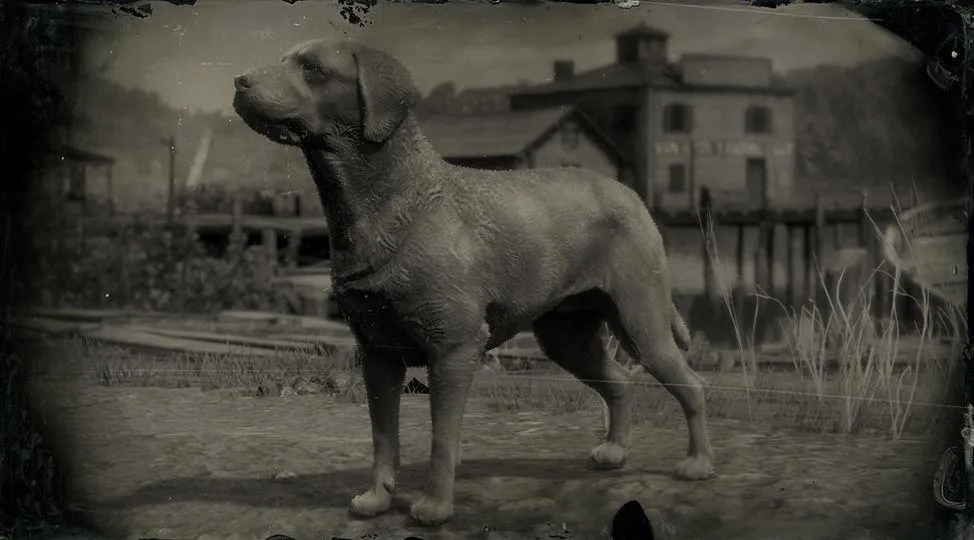 Mutt - RDR2 Animal