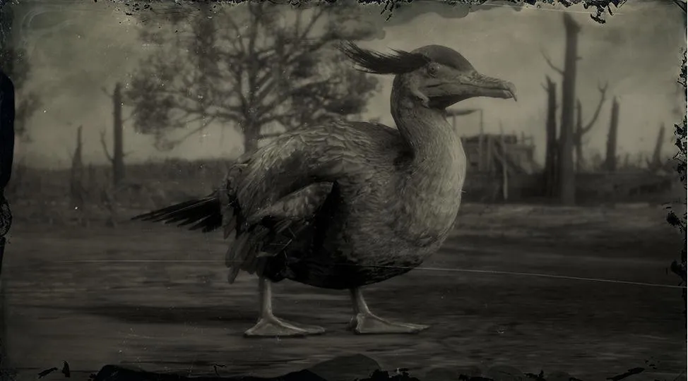 Neotropic Cormorant - RDR2 Animal