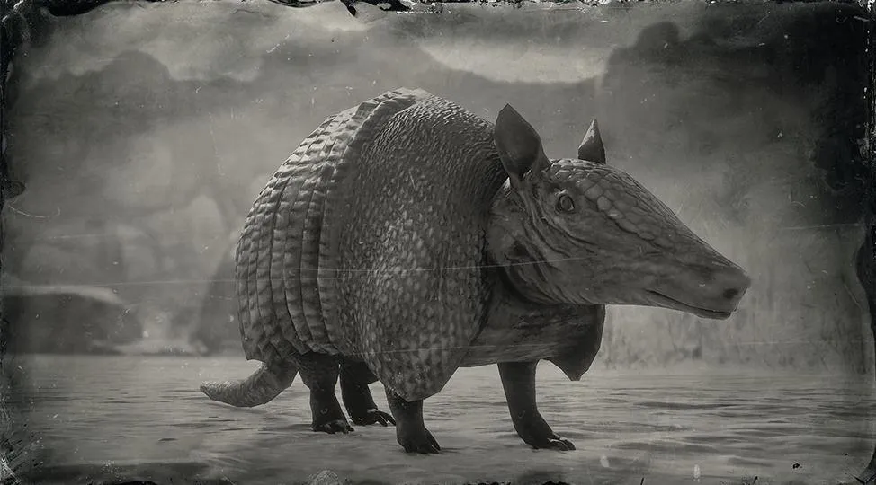 Nine-banded Armadillo, RDR2 Animals