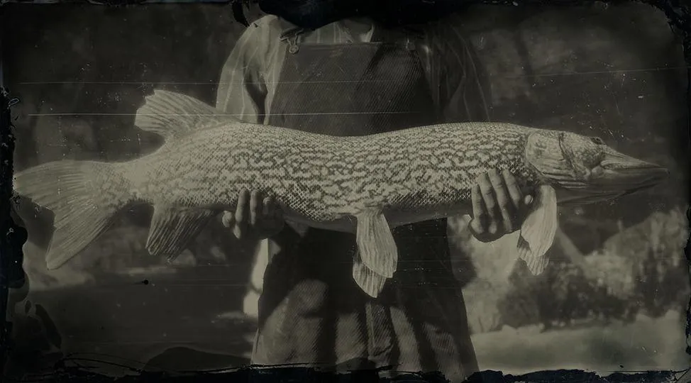 Northern Pike - RDR2 Animal Northern Pike - RDR2 Animal