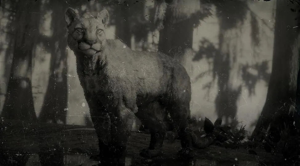 Panther - RDR2 Animal Panther - RDR2 Animal