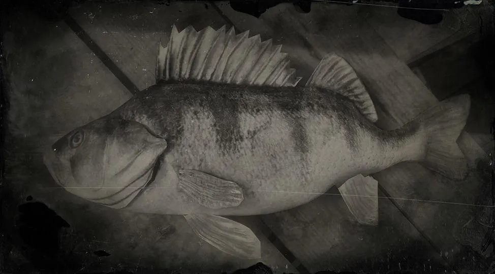 Perch - RDR2 Animal