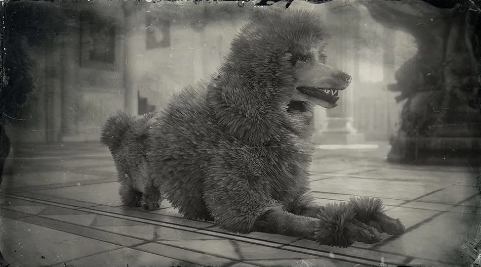 Poodle - RDR2 Animal