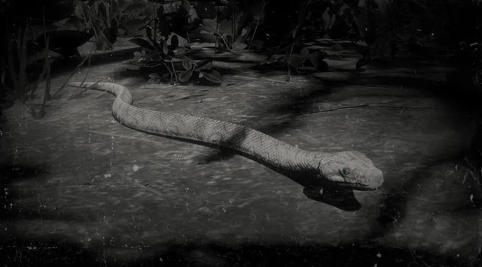 Rainbow Boa Snake - RDR2 Animal