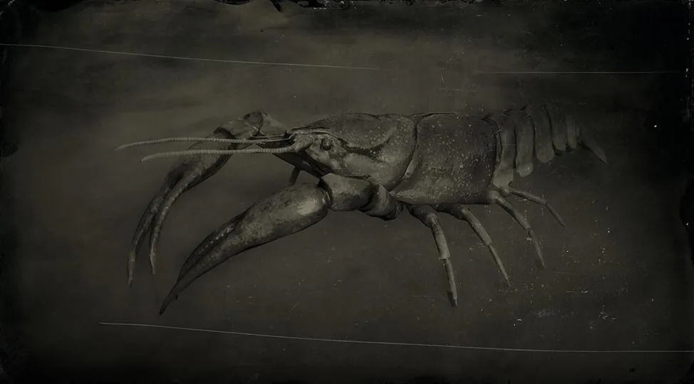Red Swamp Crayfish - RDR2 Animal