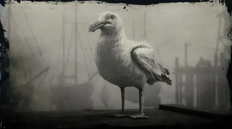 Ring-billed Gull - RDR2 Animals | Map Location & Where To Find Ring-billed Gull - RDR2 Animals | Map Location & Where To Find