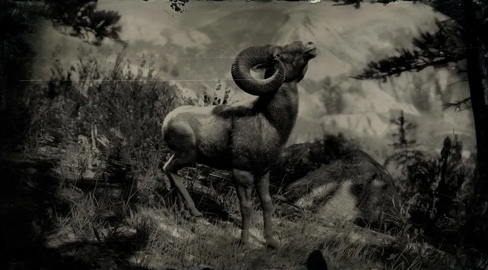 Rocky Mountain Bighorn Ram - RDR2 Animal