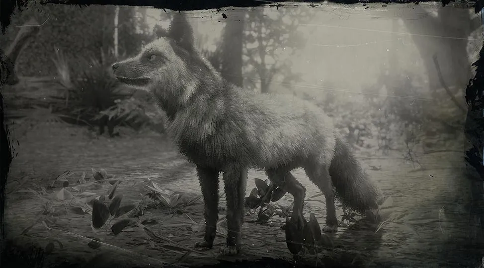 Silver Fox - RDR2 Animal