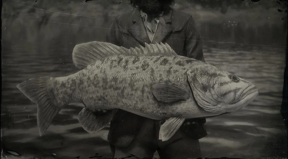 Legendary Smallmouth Bass - RDR2 Animal