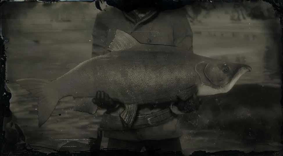 Legendary Sockeye Salmon - RDR2 Animal