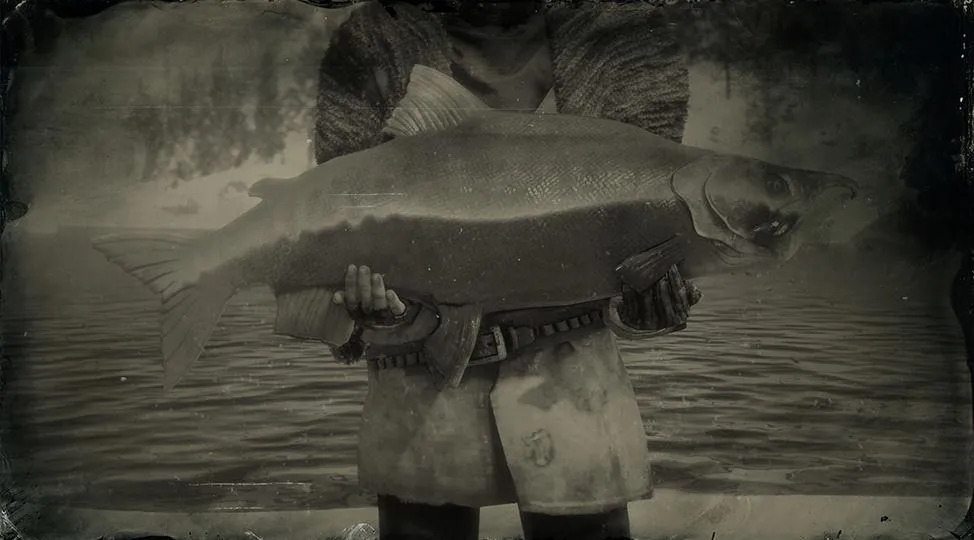 Sockeye Salmon - RDR2 Animal