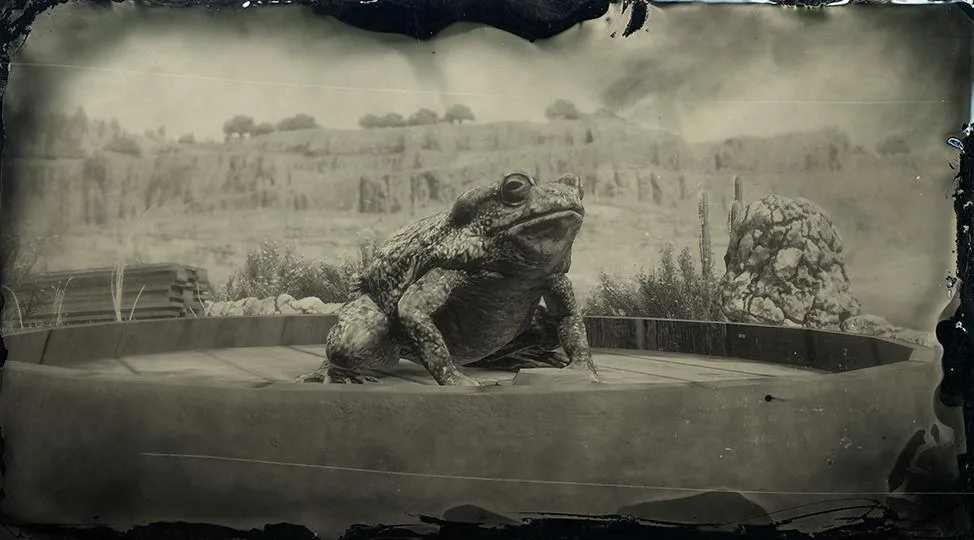 Sonoran Desert Toad - RDR2 Animal