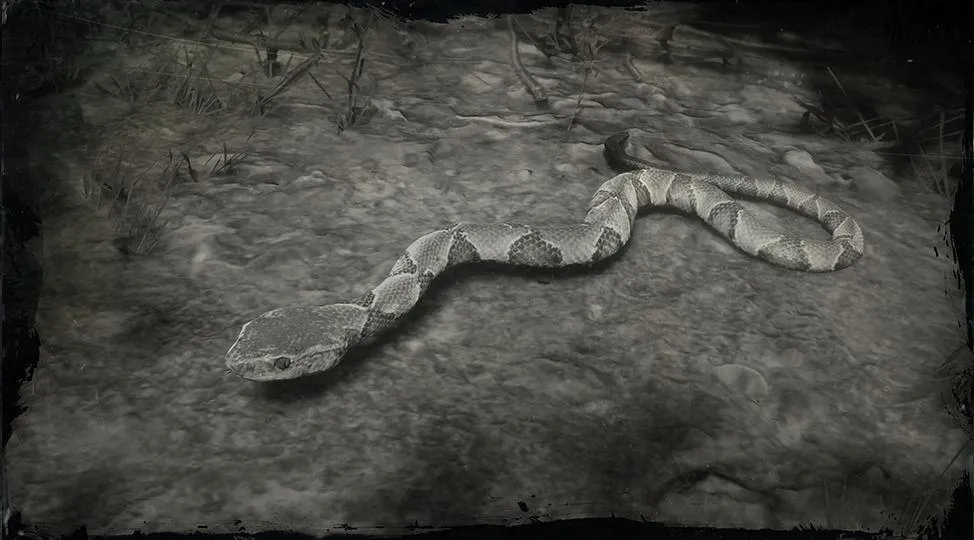 Southern Copperhead Snake - RDR2 Animal