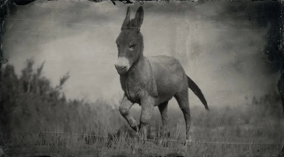 Standard Donkey - RDR2 Animal