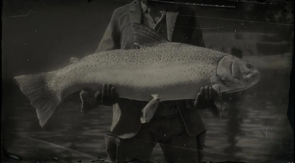 Legendary Steelhead Trout