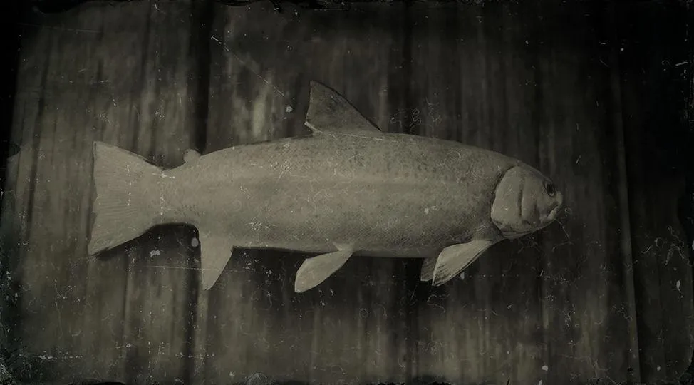 Steelhead Trout - RDR2 Animal