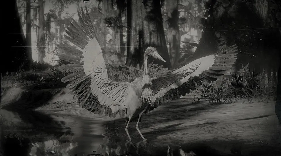 Tricolored Heron - RDR2 Animal