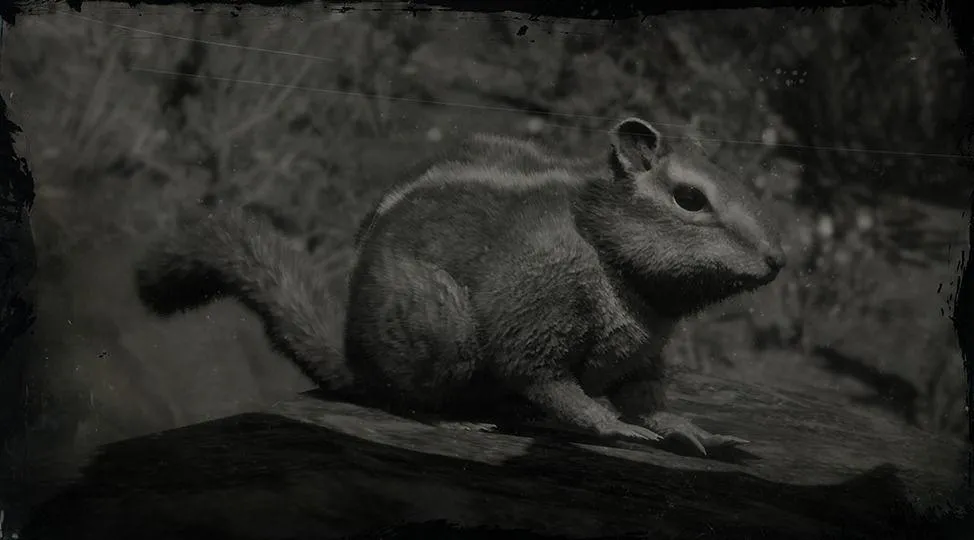 Western Chipmunk - RDR2 Animal