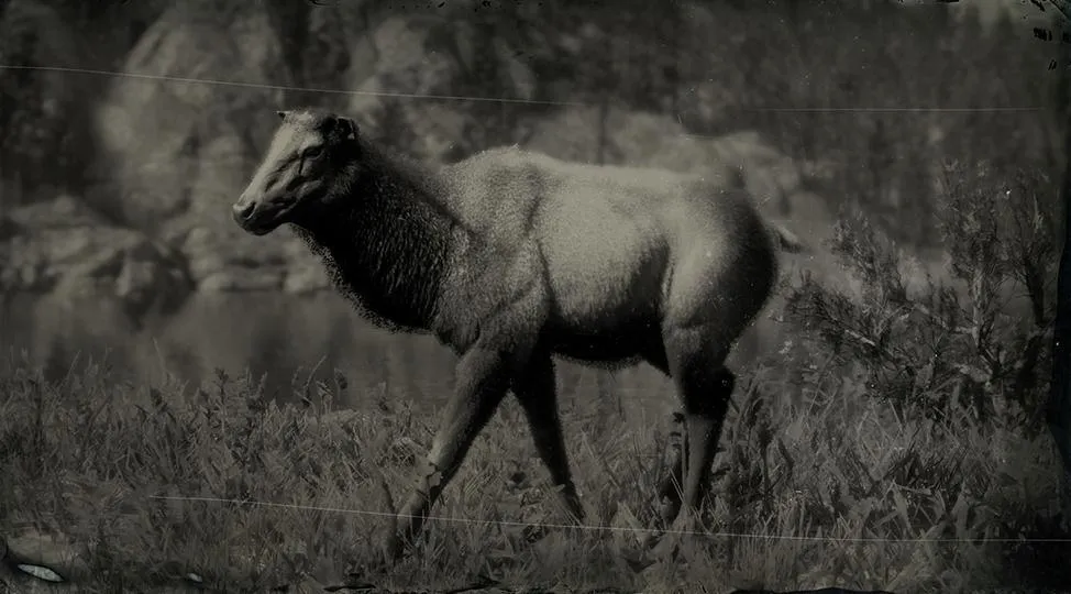 Western Moose - RDR2 Animal