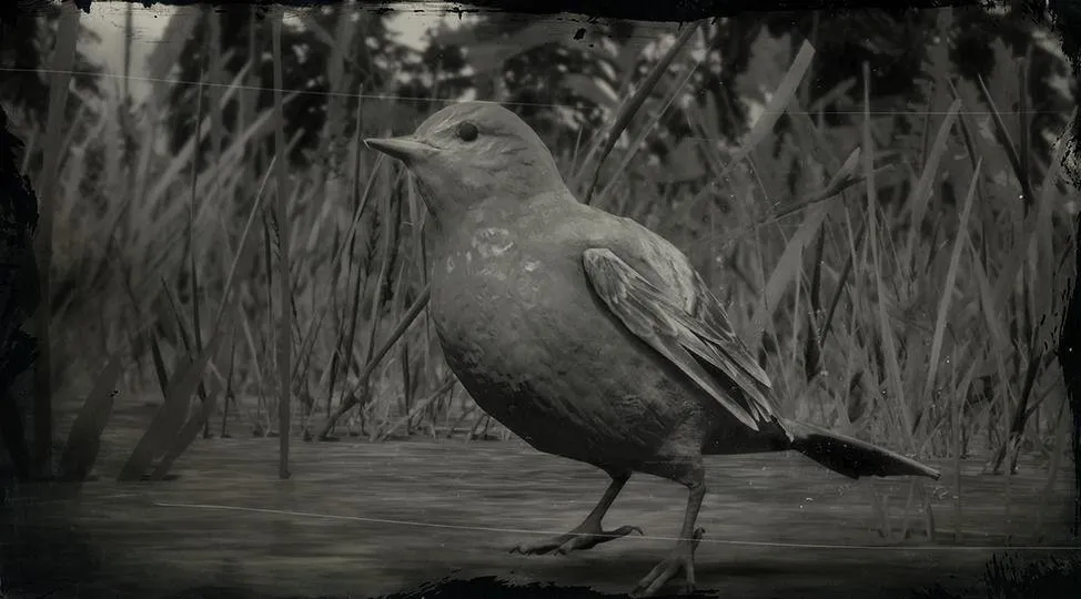 Western Tanager Songbird - RDR2 Animal