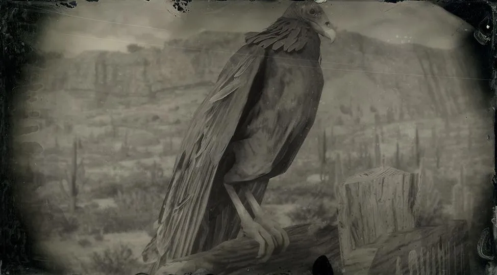 Western Turkey Vulture - RDR2 Animal