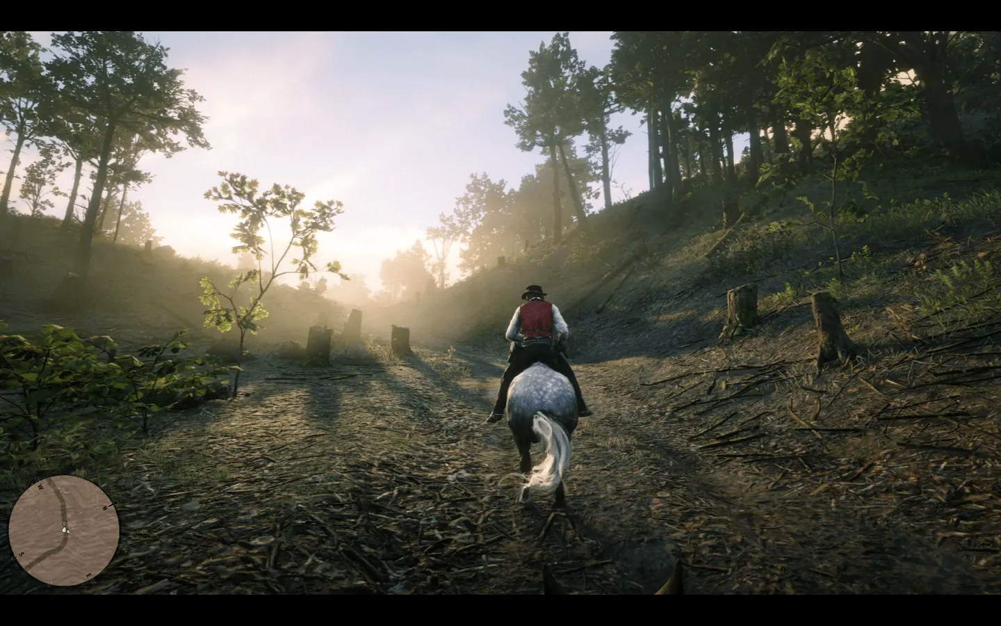 rdr2 first person horse head restricted
