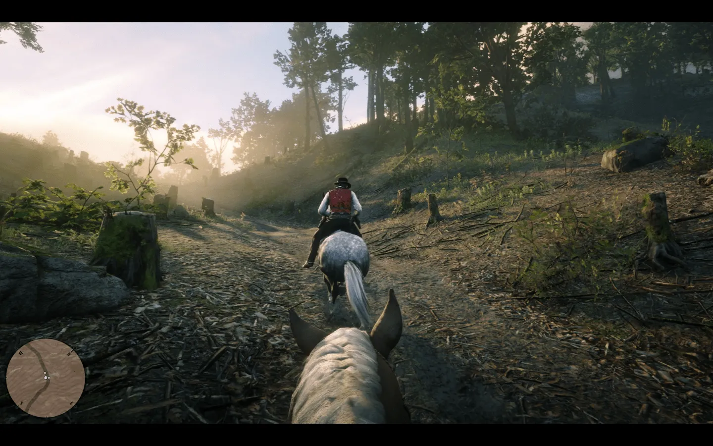 rdr2 first person horse head