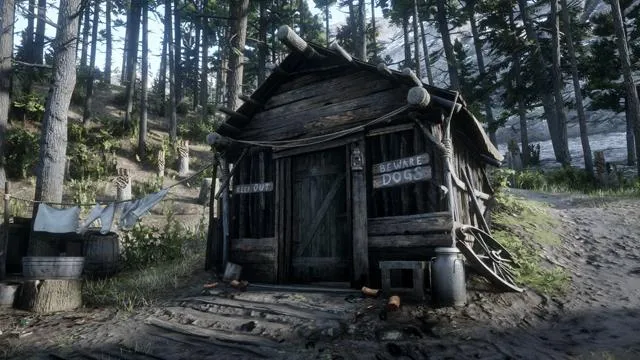 Hermit Woman - RDR2 Character Hermit Woman - RDR2 Character