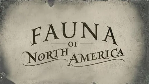 Fauna of America Card Set - Cigarette Cards | Red Dead Redemption 2 Fauna of America Card Set - Cigarette Cards | Red Dead Redemption 2