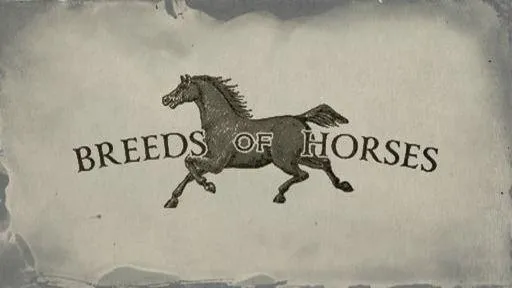 Horses Card Set - Cigarette Cards | Red Dead Redemption 2 Horses Card Set - Cigarette Cards | Red Dead Redemption 2