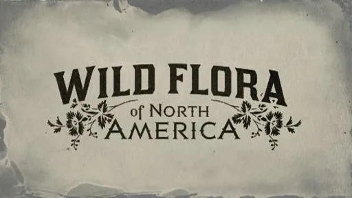 Flora of America Card Set - RDR2 Cigarette Cards