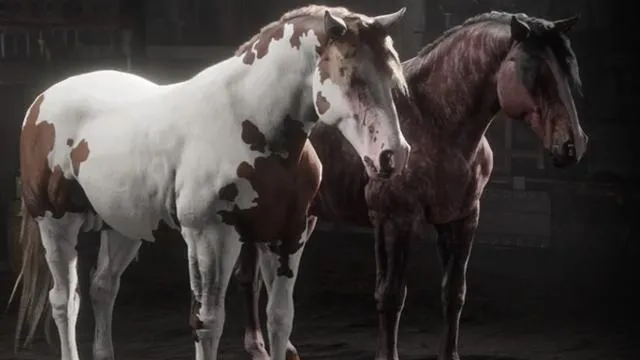 Criollo Horse - RDR2 Horse Breeds Coats, Locations & Stats Criollo Horse - RDR2 Horse Breeds Coats, Locations & Stats