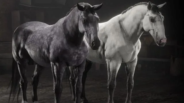 Kladruber - RDR2 Horse Breed Kladruber - RDR2 Horse Breed