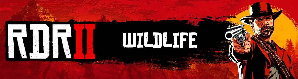 Red Dead Redemption 2 All Animals Species & Wildlife Database