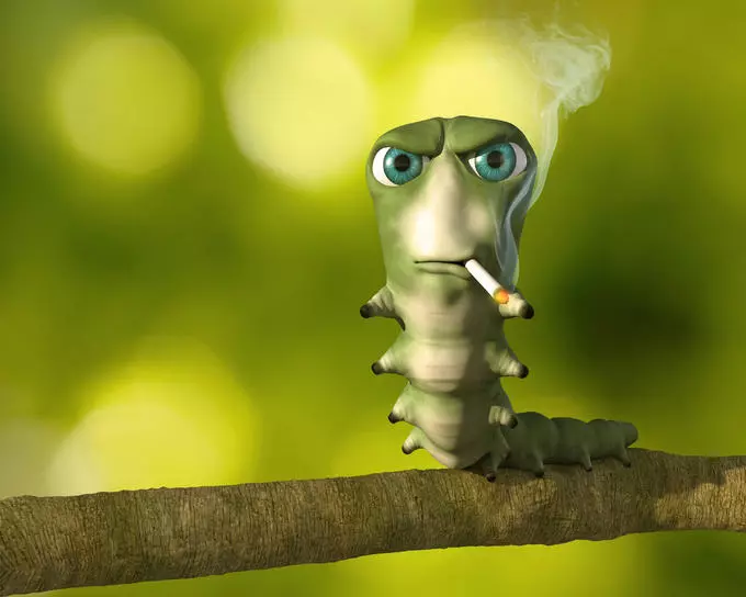 Doug Twinkletoes