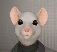 Miice