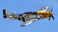 P-45 Nokota: Custom Paint Job by AcePilot