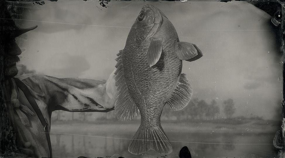 Legendary Bluegill - RDR2 Animal