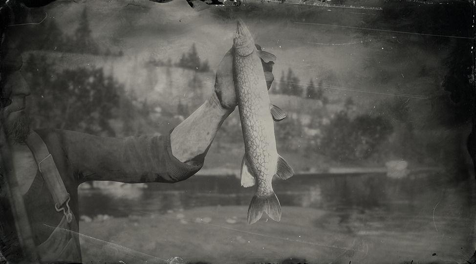 Legendary Chain Pickerel - RDR2 Animal Legendary Chain Pickerel - RDR2 Animal