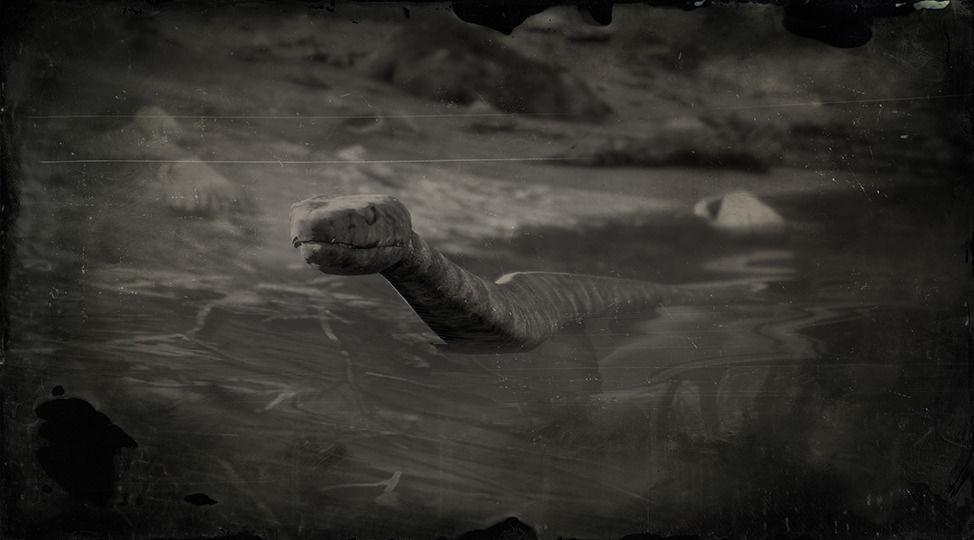 Cottonmouth Snake - RDR2 Animals | Map Location & Where To Find Cottonmouth Snake - RDR2 Animals | Map Location & Where To Find