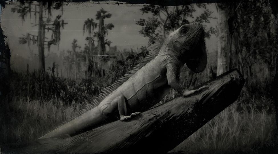 Green Iguana - RDR2 Animal