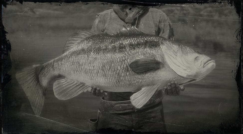 Legendary Largemouth Bass - RDR2 Animal