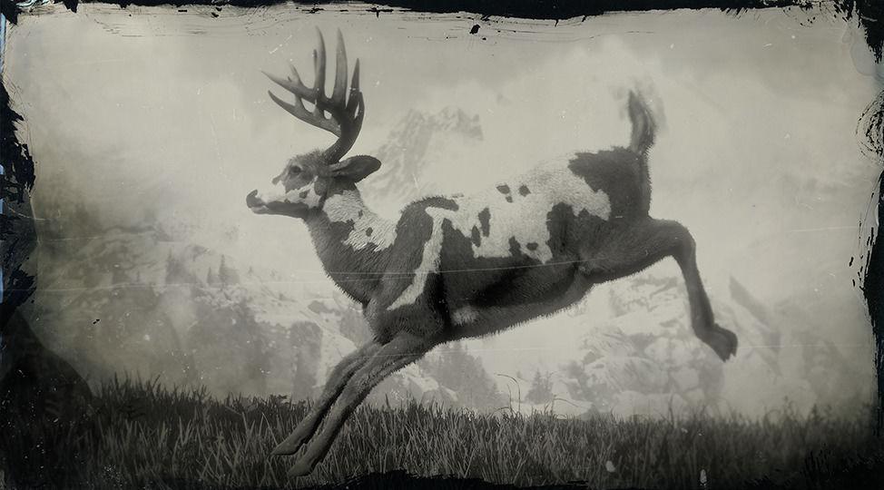 Legendary Buck - RDR2 Animal