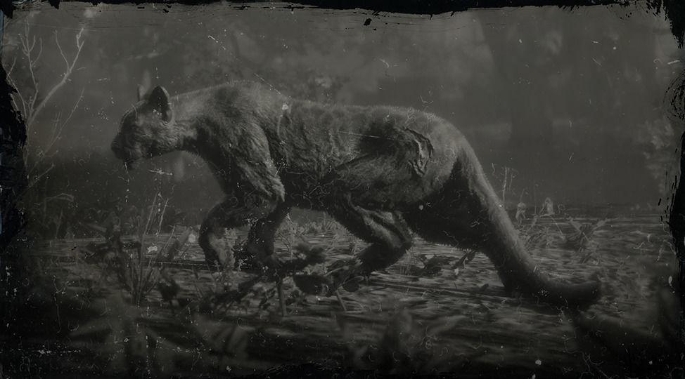 Legendary Giaguaro Panther | RDR2 Animals | Map Location & Where To Find
