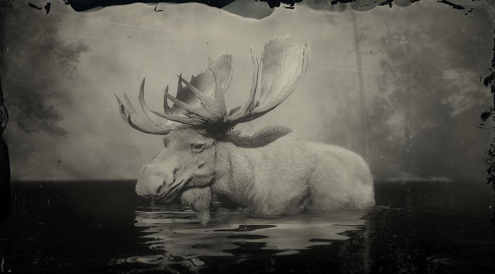 Legendary Moose - RDR2 Animal